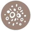 funlearning-icon